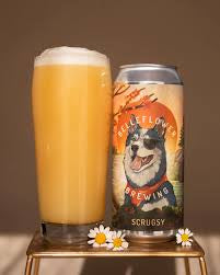 SCRUGSY BELLEFLOWER