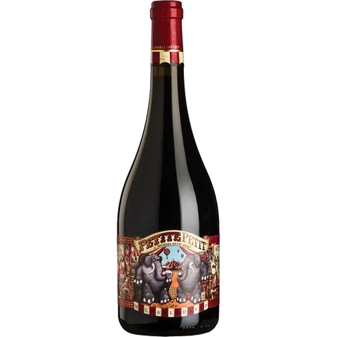 PETITE PETTT MICHAEL DAVID